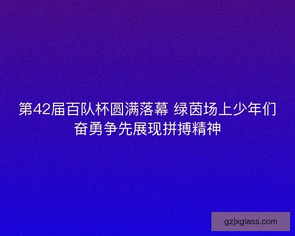 第42届百队杯圆满落幕 绿茵场上少年们奋勇争先展现拼搏精神